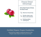 Eclectic Herb - Premium Freeze Dried Cranberry Capsules | Urinary Tract Support | Cranberry Supplement for Urinary Tract Health | US-Grown, Organic, Non-GMO, Gluten Free, Vegan (120 CT | 300 mg)