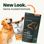 VetriScience Ultimate Strength Hip & Joint Supplement for Dogs, GlycoFlex Plus – MSM, Chondroitin & Green-Lipped Mussel Chews for Mobility, Flexibility, Comfort & Support, Peanut Butter Flavor 120 Cnt