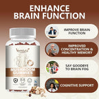 2 Packs 5000MG Mushroom Gummies -10 Blend Organic Mushroom Supplement containing Lion's Mane and Reishi for Brain and Immune Boosting, Blueberry Flavor, Non-GMO, 120 Counts