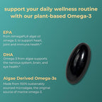 Iwi Omega-3 Essential, 60 Softgels (60 Servings), Plant-Based Algae Omega 3 with EPA + DHA, Brain, Heart & Immune Support Dietary Supplement, Krill & Fish Oil Alternative, No Fishy Aftertaste