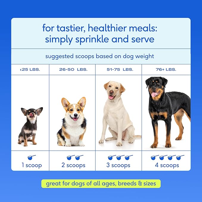Native Pet Hip & Joint Advanced Care Dog Joint Supplement Powder for Mobility & Movement Support, Joint Supplement for Dogs with HMB, UC-II Collagen, Green Lipped Mussel & Hyaluronic Acid-120 Scoops