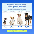 Native Pet Hip & Joint Advanced Care Dog Joint Supplement Powder for Mobility & Movement Support, Joint Supplement for Dogs with HMB, UC-II Collagen, Green Lipped Mussel & Hyaluronic Acid-120 Scoops