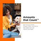 Nutri-Vet Skin & Coat Biscuits, Skin and Coat Supplement, Dog Treat, Dog Supplements, Omega 3 Fish Oil, Small Sized Biscuit, Made with Omega 3 and Biotin, Fish Oil Treat for Pets, 16 oz (Pack of 2)