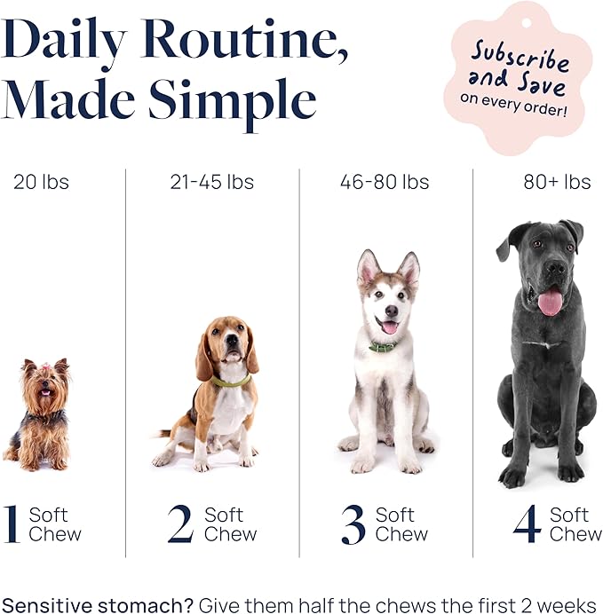 Veterinary Formula Smart Vitality Hip & Joint Supplement for Dogs with Glucosamine – Dog Joint Support, Dog Supplements for Mobility & Flexibility, 120ct