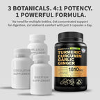 Liposomal Turmeric - High-Absorption Curcumin Supplements, Non-GMO Blend for Digestive Comfort & Daily Support - Organic Turmeric Supplement with Black Pepper (120ct, Pack of 3)