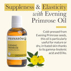 Pranarom - Evening Primrose Virgin Plant Oil - 2oz