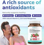Organic Cranberry Pills - Vegan Supplement for Urinary Tract Health & Kidney Cleanse - Cranberry Pills for Women 500mg 50:1 Cranberry Concentrate Per Serving - Urinary Tract Support - 120 Capsules