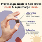 PYM Mood & Focus Chews Variety Pack, 60 Count | Berry & Citrus Mood Chews + Attention Chews | GABA, L-Theanine, L-Carnitine | Vegan, Non-GMO, Caffeine-Free