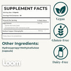 Body Odor & Sweat Support Supplement – Sage Extract & Chlorophyll – Natural Internal Deodorant & Perspiration Aid (60 Vegan Capsules)