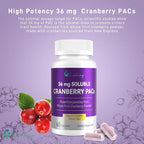 Cranberry Pills for Women with 36 mg Soluble PACs, Sourced from New England Whole Fruit Cranberries Powder, Cranberry Pills for UTI Defense & Urinary Tract Health, 60 Caps