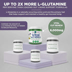 Vital Planet - Vital Gut Renew Powder Supplement for Leaky Gut Repair with L-Glutamine, Marshmallow and Ginger Root, DGL Licorice Root and Organic Aloe Vera, L Glutamine 6000mg 6.88 oz