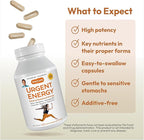ANDREW LESSMAN Urgent Energy 180 Capsules - Provides a Safe, Healthy Means of Enhancing Energy Levels and Feelings of Well-Being, Green Tea, Guarana, Ginseng, Royal Jelly, Ashwagandha, B-Complex