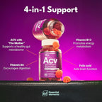 Essential Elements Apple Cider Vinegar Gummies from The Mother - Naturally-Sourced, Vegan ACV with Folic Acid and Vitamin B6 & B12 (2 Pack)