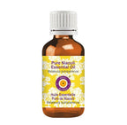Deve Herbes Pure Niaouli Essential Oil (Melaleuca quinquenervia) Steam Distilled 5ml (0.16 oz)