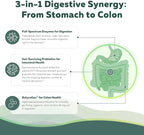 Flora Digest - 3-in-1 Max Strength Digestive Enzymes + Gut Surviving Probiotics & ButyraGen® Postbiotic for Optimal Digestion, Bloating Relief, Regularity, Gut Lining & Colon Support - (30 Capsules)