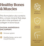 Solgar Calcium Magnesium Plus Zinc, 100 Tablets - Promotes Healthy Bones and Teeth - Supports Nerve & Muscle Function - Non-GMO, Vegan, Gluten Free, Dairy Free, Kosher - 33 Servings