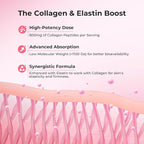 OxyEnergy Collagen Peptides Capsules for Women, Hydrolyzed Collagen Supplements with Elastin Peptides, 60 Collagen Pills to Promotes Hair, Nail, Skin, Capsulas