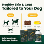 VetriScience Omega Healthy Skin and Coat Capsules, 3,6,9 Fish Oil Supplement for Dogs and Cats, Reduce Shedding, Over 750 mg Omega Fatty Acids per Capsule, Gel Caps, 90 Count