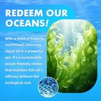 Vegan Omega-3 Gummies - 1600mg with 600mg EPA & 400mg DHA. High Absorption Formula. Delicious Orange Flavor - 60 Gummies