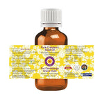dève herbes Pure Cranberry Seed Oil (Vaccinium macrocarpon) Cold Pressed (Pack of Two) 100ml X 2 (6.76 oz)