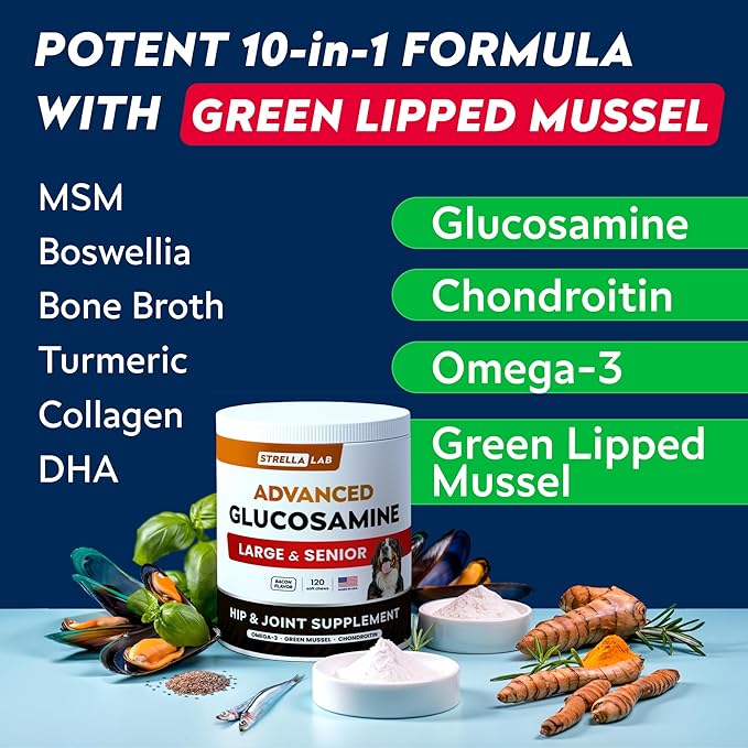 Advanced Glucosamine Hip & Joint Supplement for Senior Dogs - Green Lipped Mussel & Collagen - Hip & Joint Pain Relief - Large & Small Breed - Joint Health - Bacon - 120 Chews