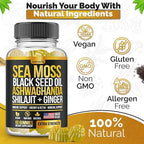 Sea Moss, Black Seed Oil, Ashwagandha, Ginger, Shilajit Gummies with Elderberry, Chlorophyll, Turmeric Bladderwrack Sea Moss Gummies Advanced Strength Formula - All in 1 Bundle - USA Made (60 Gummies)