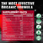 NSF Certified Creatine Gummy - Creatine Monohydrate Gummies for Men & Women-5g of Creatine Monohydrate per Serving - Sugar Free,Vegan, Strawberry Electrolyte Chews, 135 Count