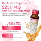 FINE JAPAN Hyaluron & Collagen Plus – Liquid Collagen Supplement with Vitamin C, Hyaluronic Acid, Pearl Coix, Supports Skin Hydration, Elasticity, Hair & Nail Health – Made in Japan, 17 fl oz