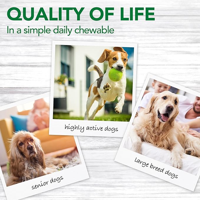 Vet's Best Advanced Hip & Joint Dog Supplements | Formulated with Glucosamine and Chondroitin to Support Dog Joint and Cartilage Health (3165810242)