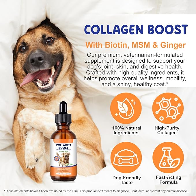 Collagen for Dogs 60ml, Liquid Dog Collagen Drops, Liquid Collagens for Dogs Joints, Skin & Coat, Support Dog Itchy Skin Relief & Digestive Health, Pet Supplement with Biotin,MSM&Ginger, Bacon Flavor