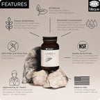 Blisque – Liver Complex Supplement to Detox, Cleanse, and Repair the Liver | Doctor Approved | Natural Ingredients | Milk Thistle, Dandelion, and Burdock Root | 90 Capsule Pills