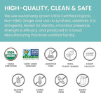 Himalaya Organic Ginger, 60 Day Supply - Digestive Health Supplement for Nausea, Upset Stomach Relief, and Occasional Bloating and Heartburn - USDA Organic, Vegan, Non-GMO, Gluten Free, 60 Caplets