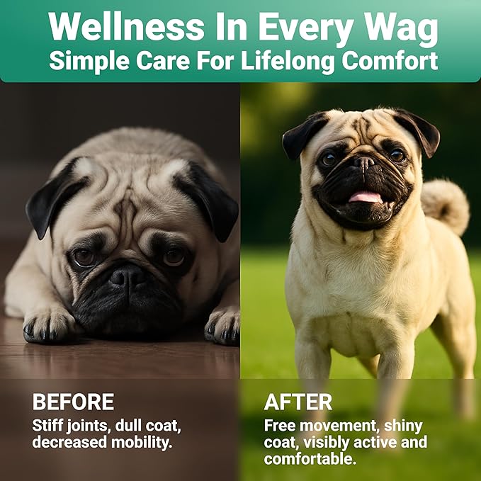 WuffWell Hip and Joint Powder Supplement for Dogs - Glucosamine Dog Joint Health - Joint Supplement for Dogs Powder - Supports Mobility - Dog Joint Powder Supplement - Large, Medium, Small Breeds