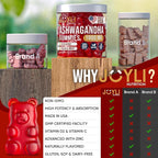 [2 Pack] Ashwagandha Gummies for Women & Men — Natural Soothing Gummies with Pure Ashwagandha Root Extract Vitamin C Zinc — Ashwagandha Supplements for Focus & Rest — 120 Sugar Free Chews
