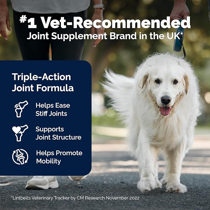 YuMOVE Hip & Joint Supplement for Senior Dogs with Advanced Strength Glucosamine, Omega 3, Hyaluronic Acid, Green Lipped Mussel, & Fish Oil for Dogs - 120 Chewable Tablets