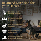 Australian Cattle Dog Multivitamins, 90 Count, Made in the USA with Real Bacon