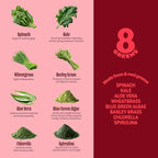 8Greens Supergreens Gummies | Super Greens Powder Superfood Gummy for Metabolism, Immunity & Focus, Digestive Health Enzymes, Organic: Chlorella, Spirulina, Aloe Vera, Apple Flavor, 100 Count