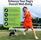 LVL Up Pup Dog Joint Supplement for Senior Dogs – Hip & Joint Supplement for Dogs with Glucosamine, Chondroitin, MSM – Dog Supplement for Large Breed – Joint Health Chews