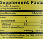 Spring Valley Biotin 5000mcg- Blueberry Flavor, Hair Skin and Nails 150 Gummies (Pack of 1), Set by Basket Goods