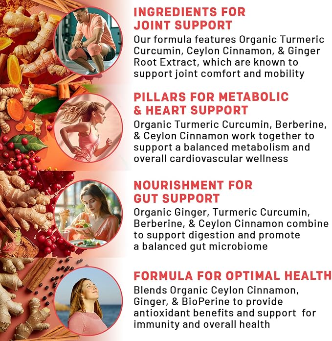 5-in-1 Organic Turmeric Curcumin Supplement (4210mg) with Berberine, Ceylon Cinnamon Bioperine and Ginger Supplements for Joint, Heart, Gut, & Metabolic Support (60 Servings) (Pack of 4)