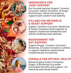 5-in-1 Organic Turmeric Curcumin Supplement (4210mg) with Berberine, Ceylon Cinnamon Bioperine and Ginger Supplements for Joint, Heart, Gut, & Metabolic Support (120 ct) (Pack of 2)