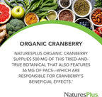 NaturesPlus Organic Cranberry 500 mg - 60 Capsules - Helps Promote Healthy Urinary Tract - USDA Certified Organic, Vegan, Gluten Free, Non-GMO - 30 Servings