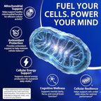 Methylene Blue Gummies 60 Count, 5mg Per Gummy, 99.9% Pure Methylene Blue Supplement, Supports Cognitive Function, Mental Focus & Cellular Energy, Antioxidant Support, Vegan Non-GMO Daily Supplement