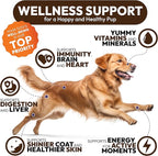 Turkey Tail Mushroom for Dogs - 170 Chews - Lion’s Mane - Shiitake - Reishi - Buddy Immune Support Guard - Mushroom Supplement for Dogs Lumps and Bumps Glucosamine, Health Vitamins Multivitamin
