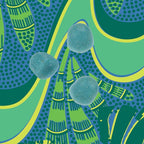 Kuli Kuli Sea Moss & Blue Spirulina Superfood Gummies - Pineapple Colada Flavor, 60 Count - Plant-Based Irish Sea Moss with Baobab & Vitamin C for Skin Glow, Immune Support & Collagen (1 Month Supply)