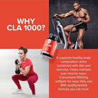 InnoSupps CLA 1000mg - CLA Supplements with Safflower Oil - Supports Metabolism, Lean Muscle Recovery and Growth, Stamina, and Immune Health (30 Capsules)