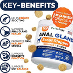 Anal Gland Support Chews for Dogs - 170 Ct - Scoot Treatment - Dog Anal Gland Supplement - Pumpkin, Psyllium Husk, Fiber - Supports Gut Health & Stool Quality - Digestive Enzymes - Made in USA