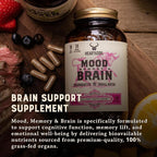 HEART & SOIL – 100% Grass Fed & Finished Beef Brain Supplement from Regenerative Cattle – for Cognitive Function & Memory – 3000mg Focus Supplement with Beef Organs – Glass Bottle – 180 Capsules