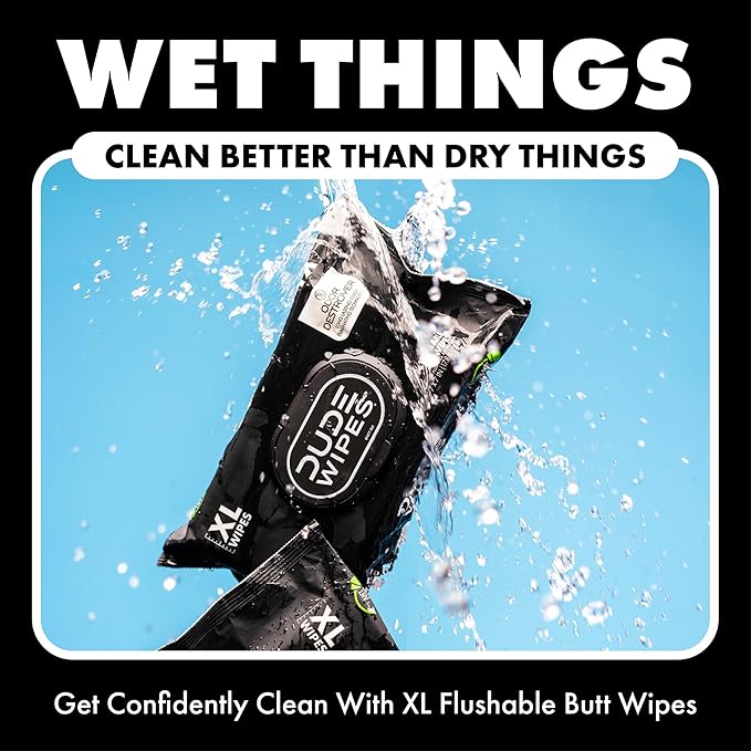 DUDE Wipes Odor Destroyer Flushable Wipes - Extra-Large Adult Wet Wipes - 6 Pack (288 Count) - Deodorizing, Lightly Scented, Controls Odor for up to 24 Hours - Septic and Sewer Safe