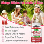 2 Pack Ginkgo Biloba Gummies with Panax Ginseng and Magnesium, Ginkgo Biloba Supplements for Focus, Memory, and Brain Health for Adults & Kids, Vegan Raspberry Flavor Gummies, 120 Count